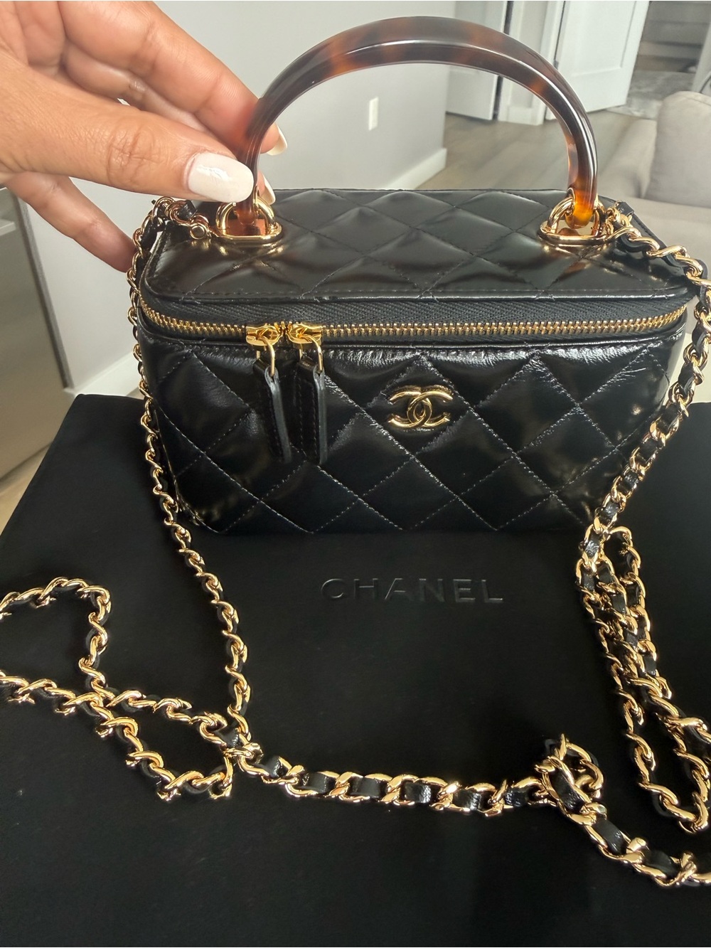 CHANEL Black Quilted Vanity Mini Bag with Tortoiseshell Handle